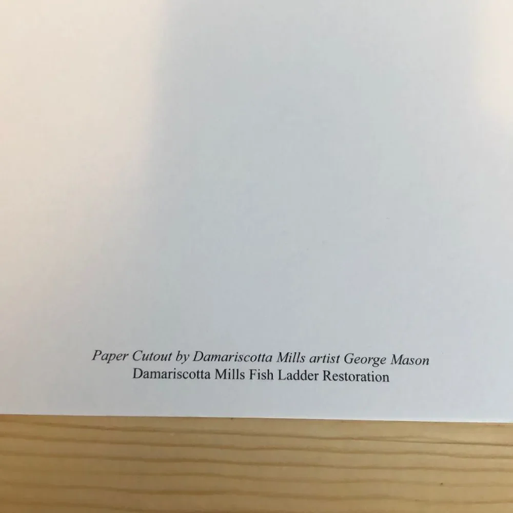 New!  Set of 6 Blank Fish Notecards/Envelopes